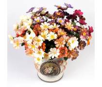 煤炭产品库概览与应用前景