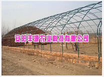 花卉大棚 厂家、种植价格与成本详解